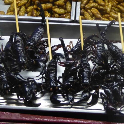 Жарка экзотических морепродуктов и деликатесов на прилавке ночного рынка