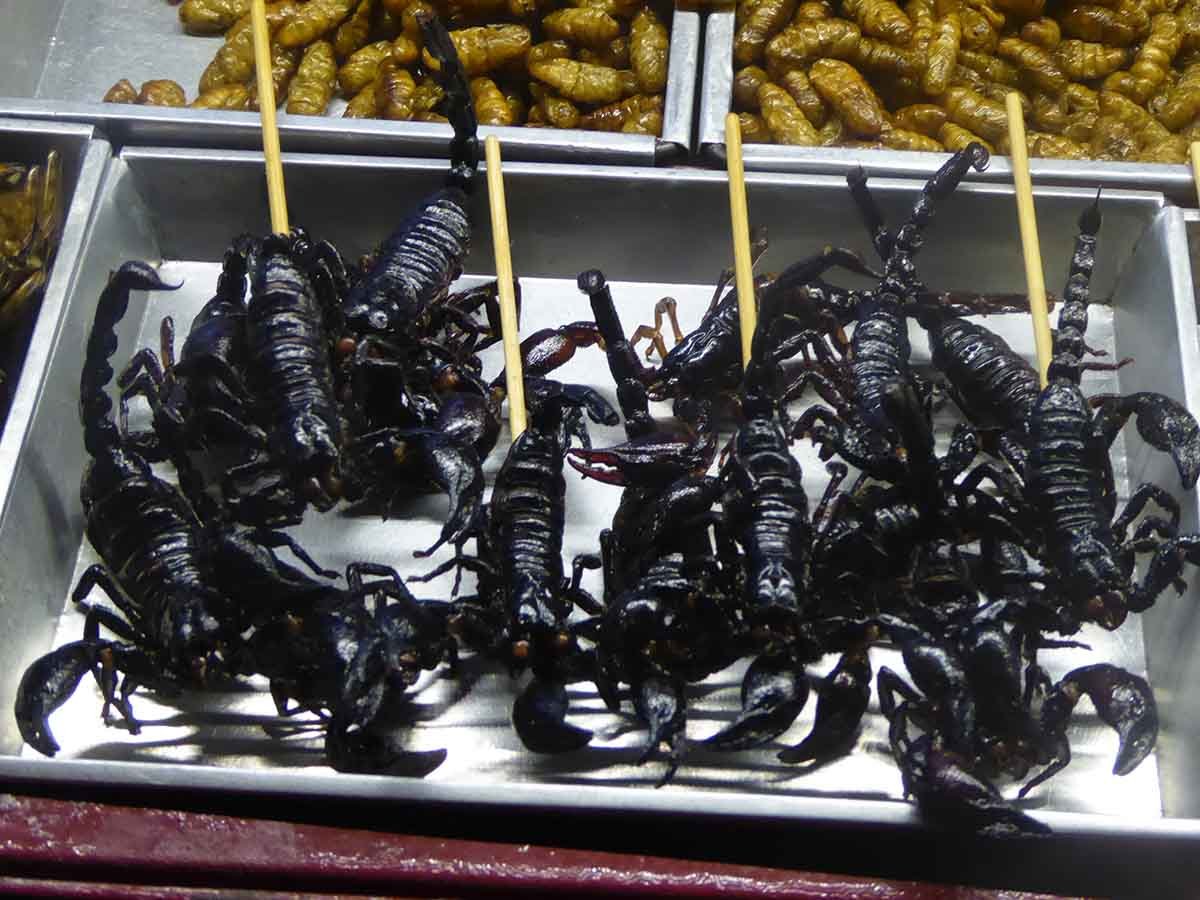 Жарка экзотических морепродуктов и деликатесов на прилавке ночного рынка